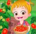 Baby Hazel Tomato Farming