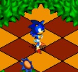 Sonic 3D: No Flickies
