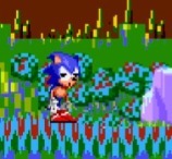 Sonic Poppy