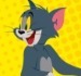 Tom and Jerry: Dress Up