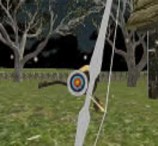 3D Robin Archery