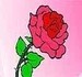 Colorir a Rosa