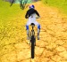 MTB Hill Bike Rider