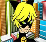 Pinte Cat Noir