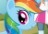 Rainbow Dash: Pony vs Human