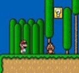 Super Mario World Flash