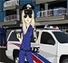 Vestir a Policial