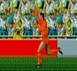 Jogo Penalty Fever Plus no Joguix